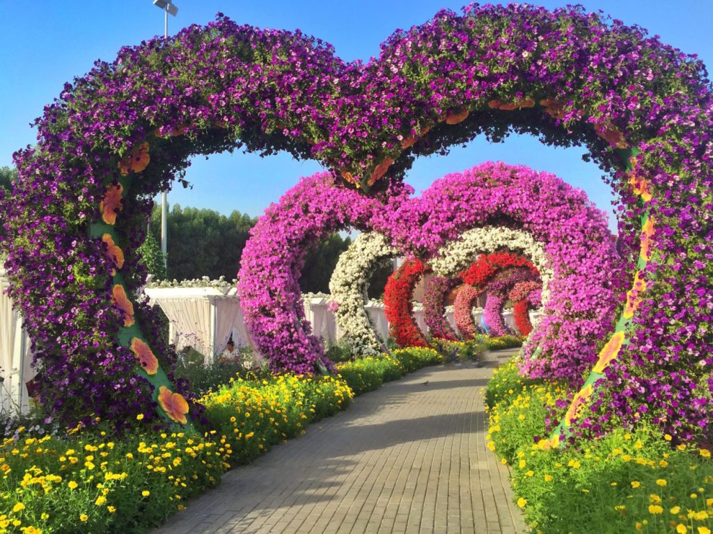 Dubai Miracle Garden