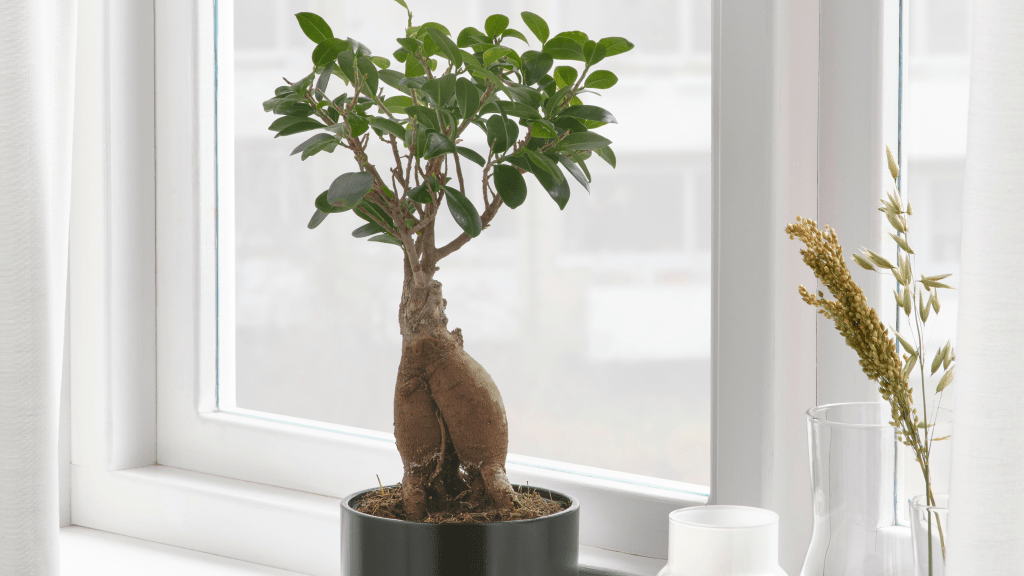 IKEA products and hacks