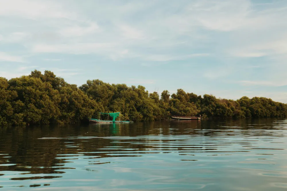Discover Abu Dhabi's beauty at the Mangroves
