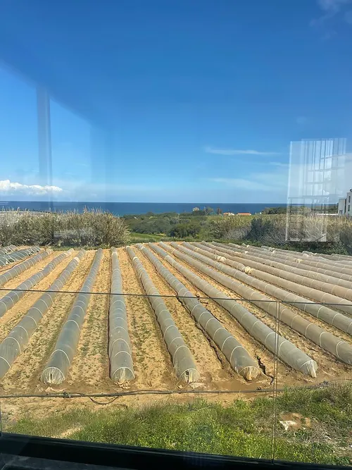 3 Bedrooms House in Kapparis