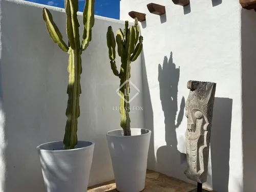 5 Bedrooms Country house in Diseminado P 26 Sta Gertrudis