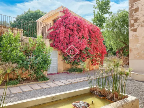 14 Bedrooms Country house in Cami de cabo blanco