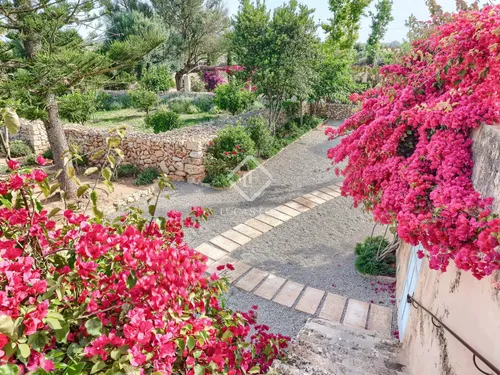 14 Bedrooms Country house in Cami de cabo blanco