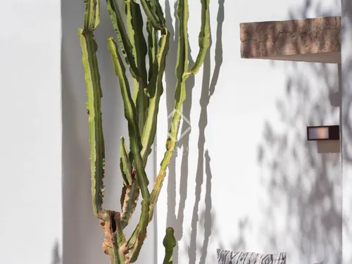 5 Bedrooms House / Villa in La Savina