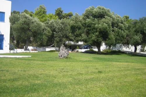 4 Bedrooms Villa in KASSANDRA (FIRST LEG)