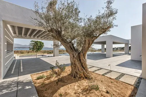 8 Bedrooms Villa in ANTIPAROS