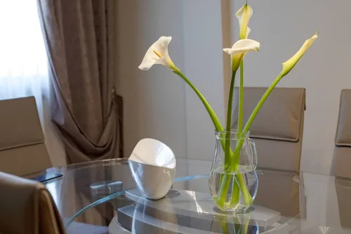 2 Bedrooms Apartment in Dobrota