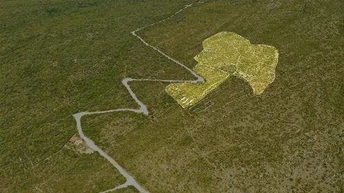 Wild beauty resort Zukovica