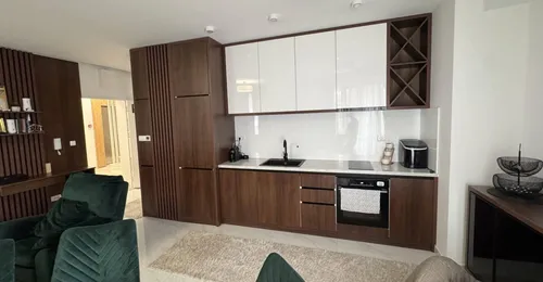 1 Bedroom Apartment in Budva