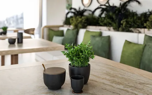 1 Bedroom Apartment in Reževici