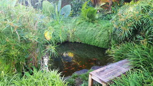 6 Bedrooms Villa in House-Villa (IRS project)