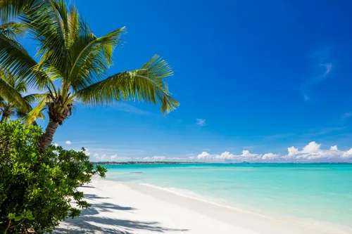 4 Bedrooms Villa in House-Villa (PDS project)