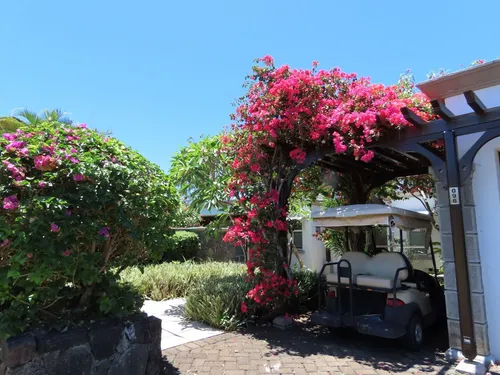 4 Bedrooms Villa in House-Villa (IRS project)