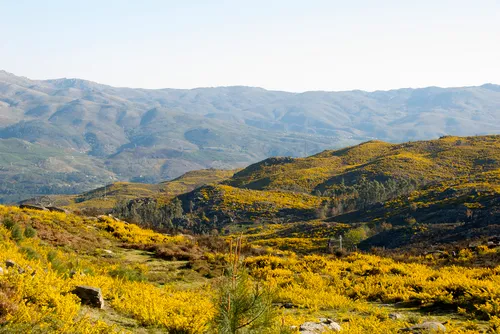  Hotel in Amares e Figueiredo