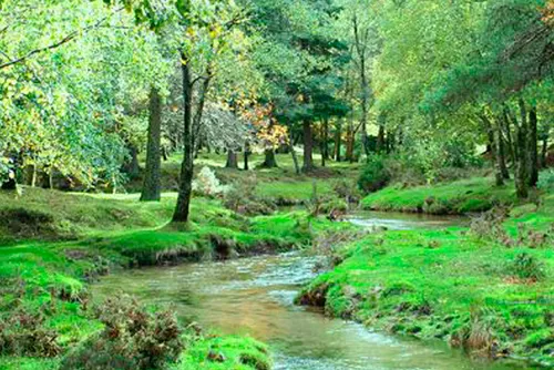  Hotel in Amares e Figueiredo