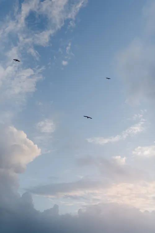  Apartment in Matosinhos e Leça da Palmeira
