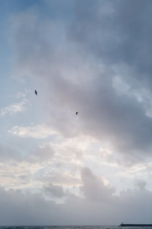  Apartment in Matosinhos e Leça da Palmeira