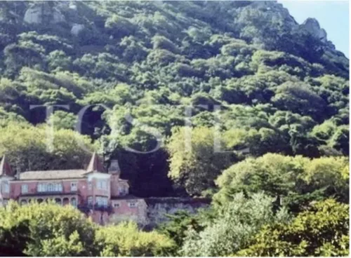  Villa in S.Maria e S.Miguel, S.Martinho, S.Pedro Penaferrim