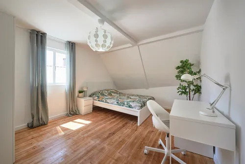  Building in Santo António