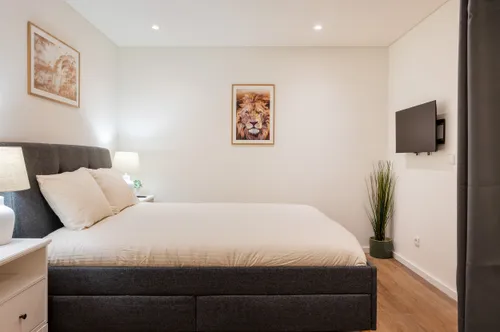 1 Bedroom Apartment in Cedofeita, Santo Ildefonso, Sé, Miragaia, São Nicolau e Vitória