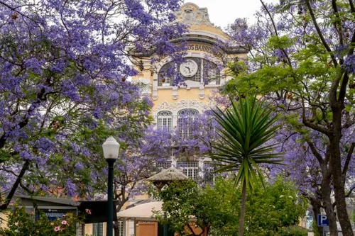 4 Bedrooms Apartment in Marvila