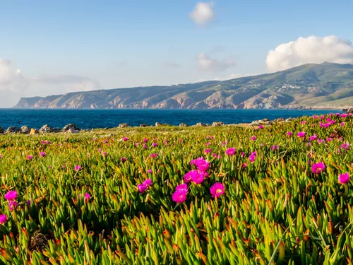 5 Bedrooms House in Cascais e Estoril