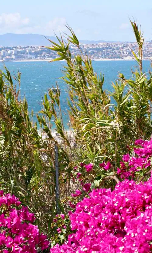 5 Bedrooms House in Caparica e Trafaria