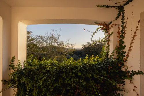 20 Bedrooms Building in Malveira da Serra