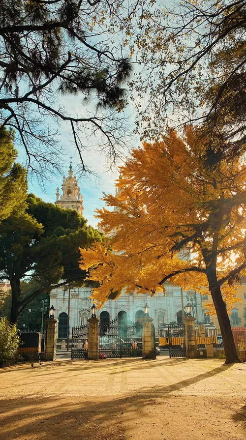 4 Bedrooms House in Estrela