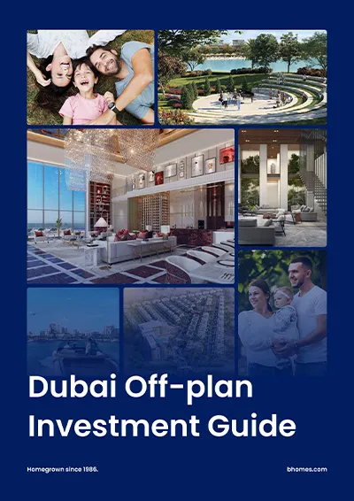 Dubai Investment Guide